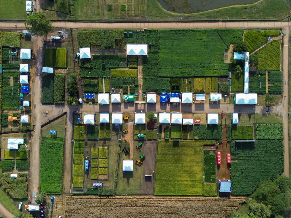 Vista aérea das parcelas das vitrines tecnológicas, divididas em quadras